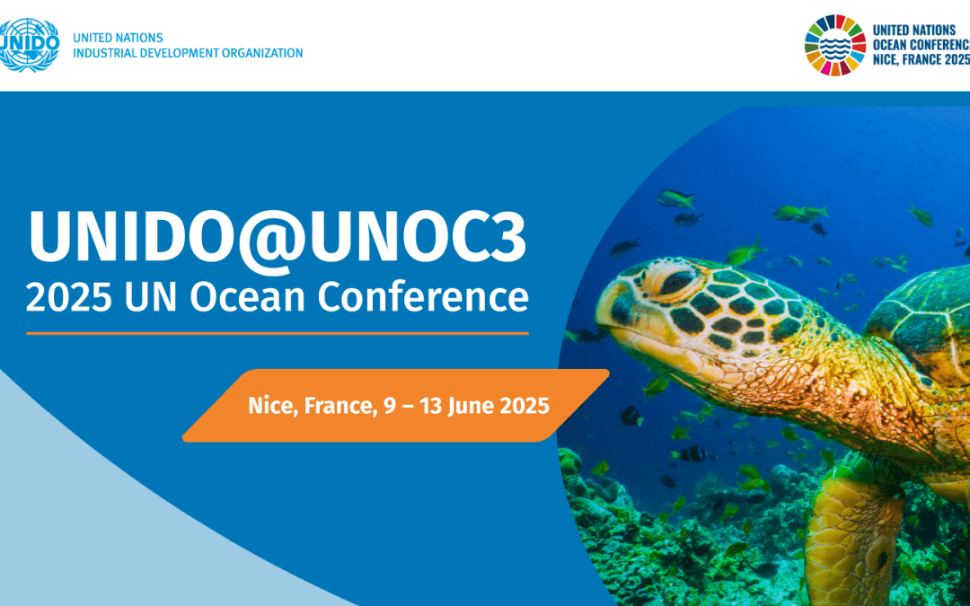 A Terceira Conferência das Nações Unidas sobre o Oceano: Ação para a Conservação dos Oceanos, 9 a 13 de junho 2025